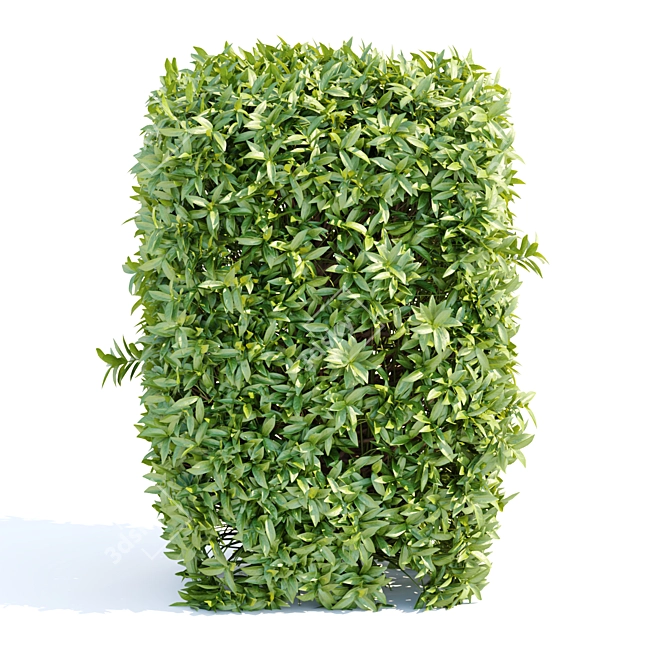 Laurel Hedge Collection Vol. 129 3D model image 2