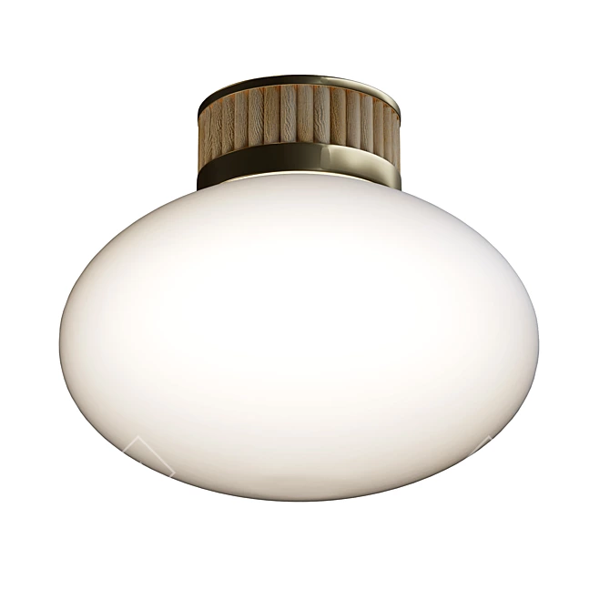 Bohemian Chic Brass, Bamboo & Opal Glass Ceiling Light 3D model image 3