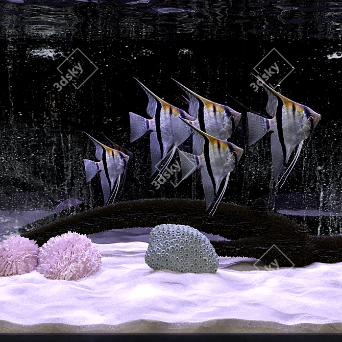 Aquarium Angel Fish 3D Model 3D model image 6