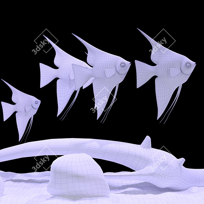 Aquarium Angel Fish 3D Model 3D model image 9