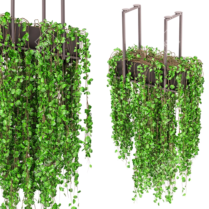 Metal Box Indoor Plants Set 3D model image 1