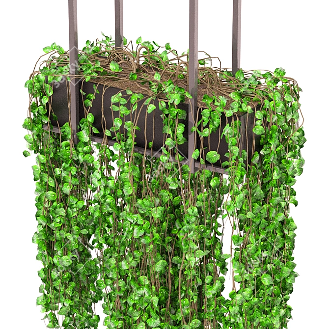 Metal Box Indoor Plants Set 3D model image 3