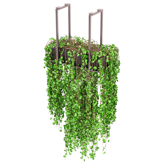 Metal Box Indoor Plants Set 3D model image 6
