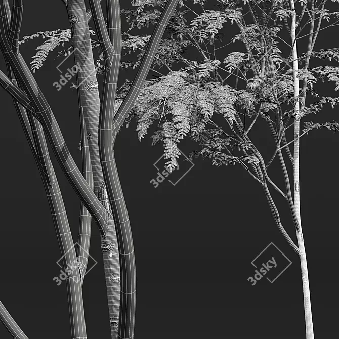 Chinese Date Tree Plant 3D 3D model image 5