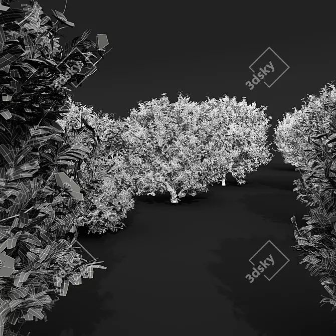 Cistus Albidus Zistrose Plant Model 3D model image 5