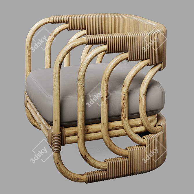 Artteriors Hamza Rattan Lounge Chair 3D model image 2
