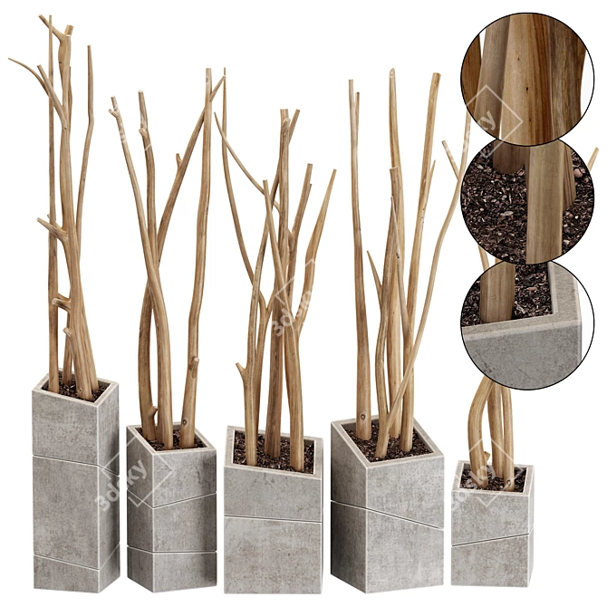 Branch Slice Vase Set 7 3D model image 1