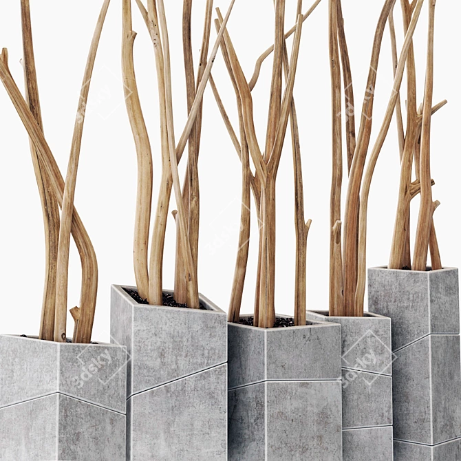 Branch Slice Vase Set 7 3D model image 2