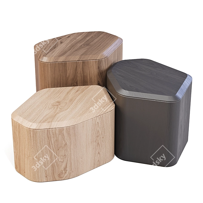 BluDot Acacia Side Storage Tables 3D model image 1