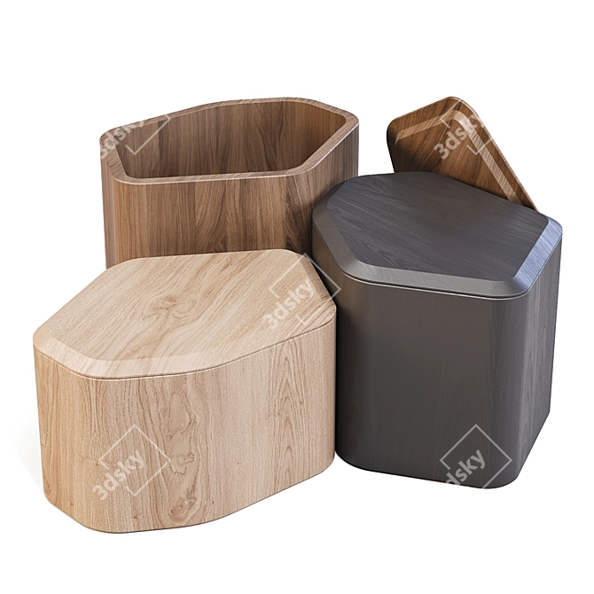 BluDot Acacia Side Storage Tables 3D model image 4