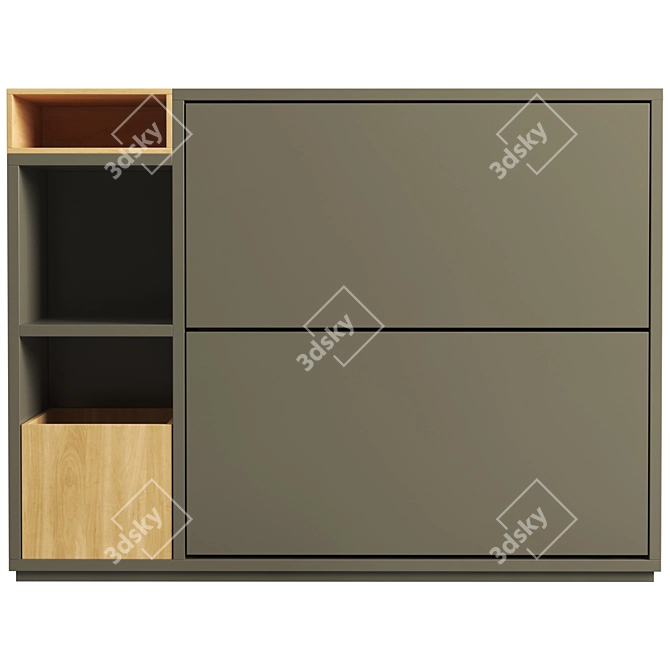 Modern Double Shoe Storage Solution 3D model image 4