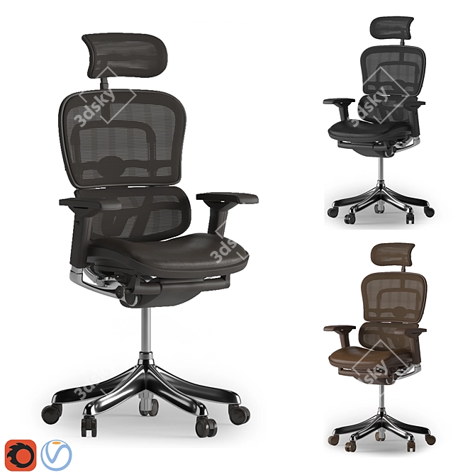 Ergohuman 3D Leather Office Chair 3D model image 1