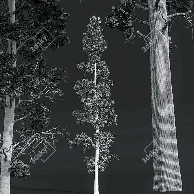 Forest Tree 3D Model Set 3D model image 7