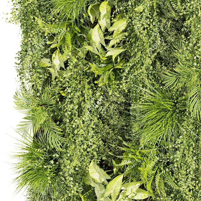 Vertical Leaf Plant Collection - Premium Quality 3D model image 3