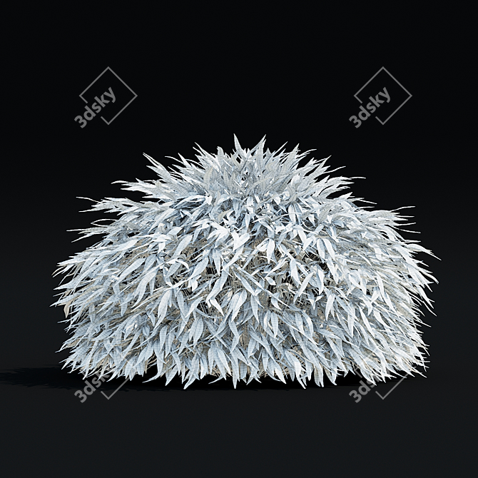 Hakonechloa macra Ornamental Grass Collection 3D model image 4