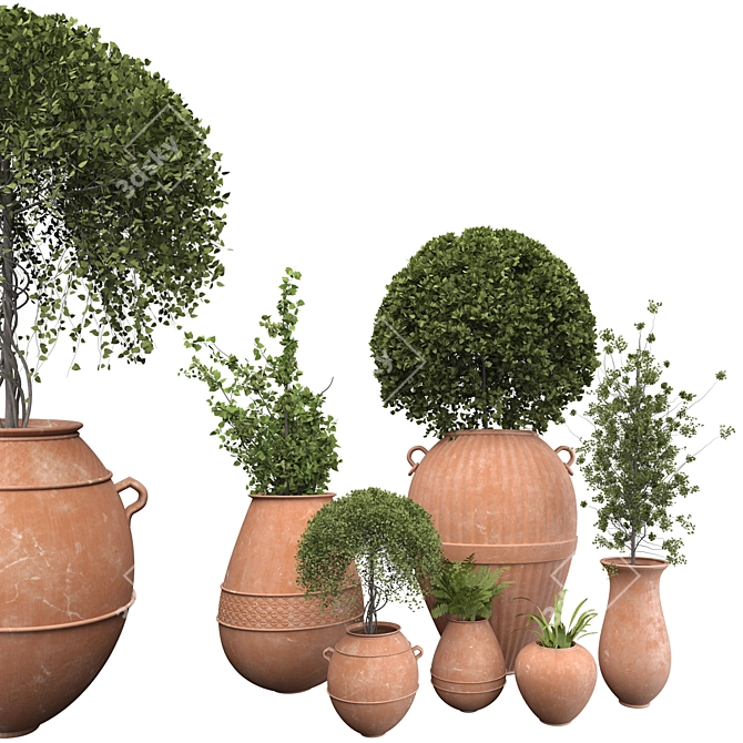 Botanical Beauties in Clay Pots 3D model image 1