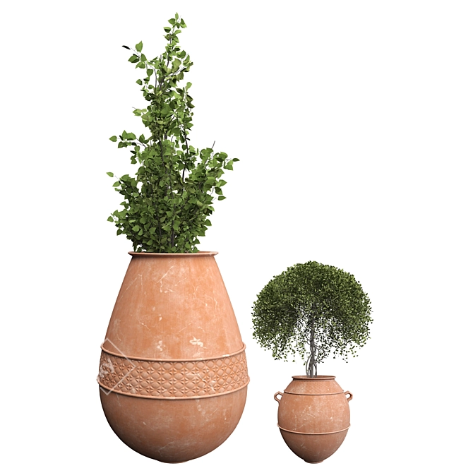 Botanical Beauties in Clay Pots 3D model image 4