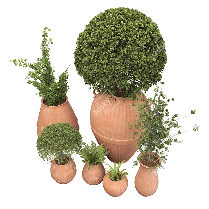 Botanical Beauties in Clay Pots 3D model image 6