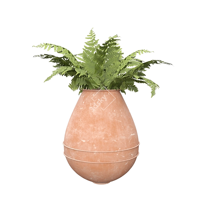 Botanical Beauties in Clay Pots 3D model image 12