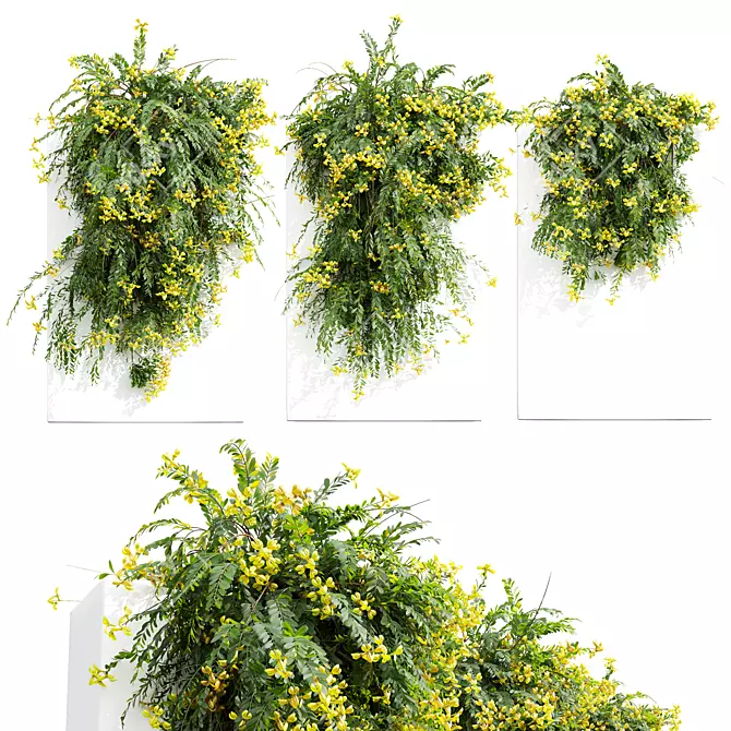 Lemon Yellow Fragrant Shrubs 3D model image 1