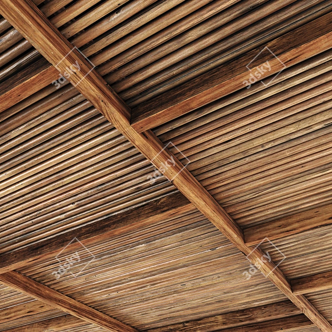 Branch Ceiling Texture Set 3D model image 2