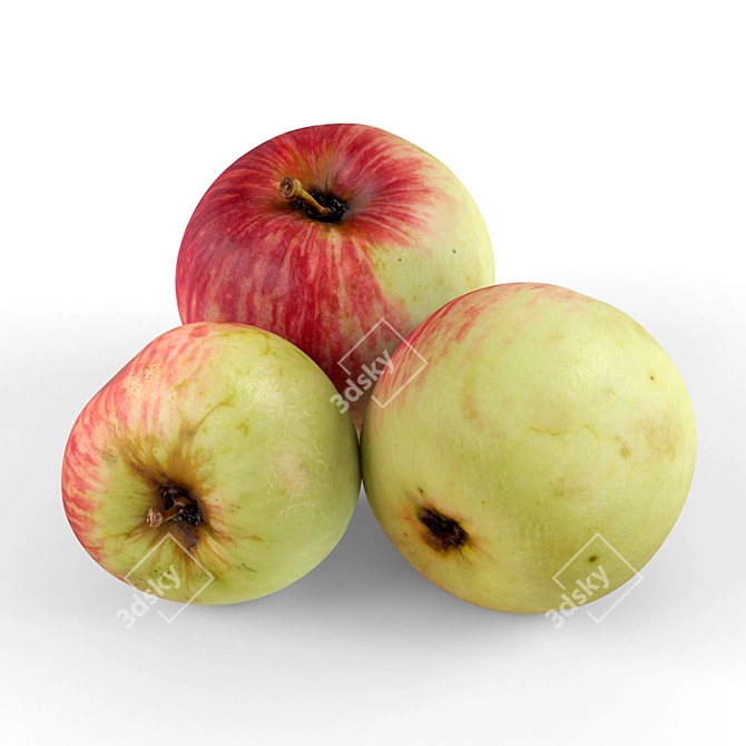 Ruby Red Delicious Apples 3D model image 5