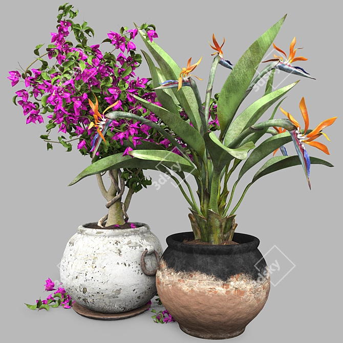 Tropical Flowers 3D Model Set 3D model image 1