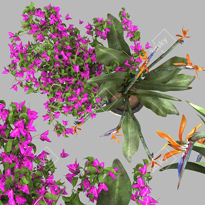 Tropical Flowers 3D Model Set 3D model image 3