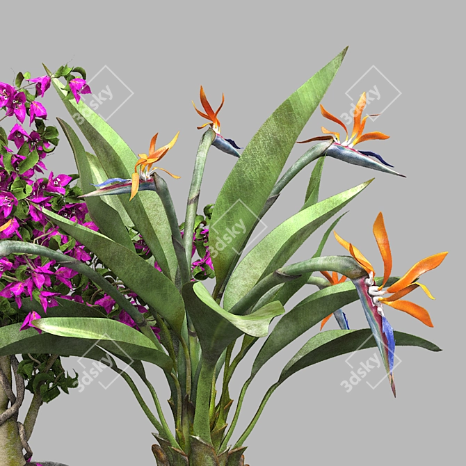 Tropical Flowers 3D Model Set 3D model image 4