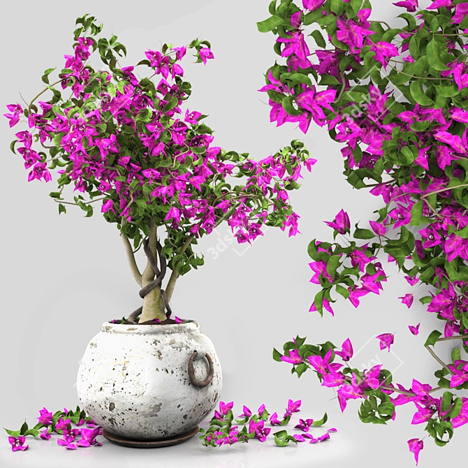 Tropical Flowers 3D Model Set 3D model image 5