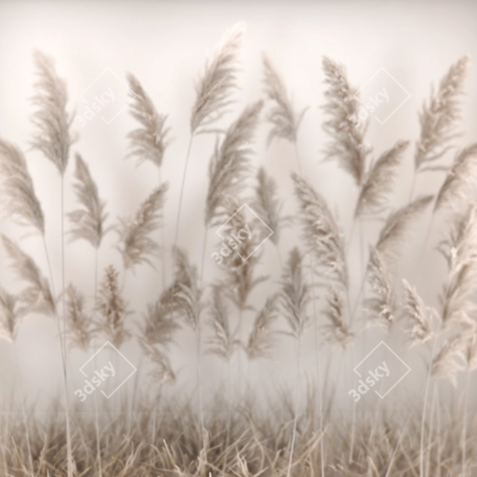 Luxury Eco Dry Floral Installation 3D model image 2