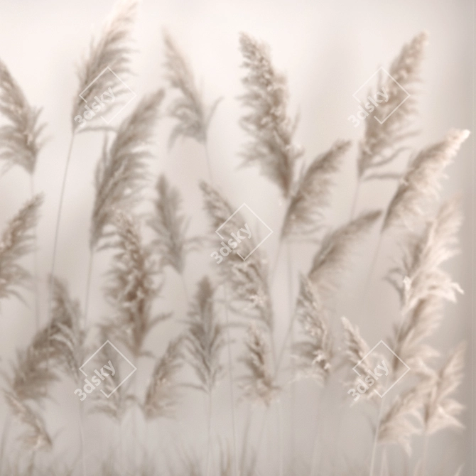 Luxury Eco Dry Floral Installation 3D model image 4