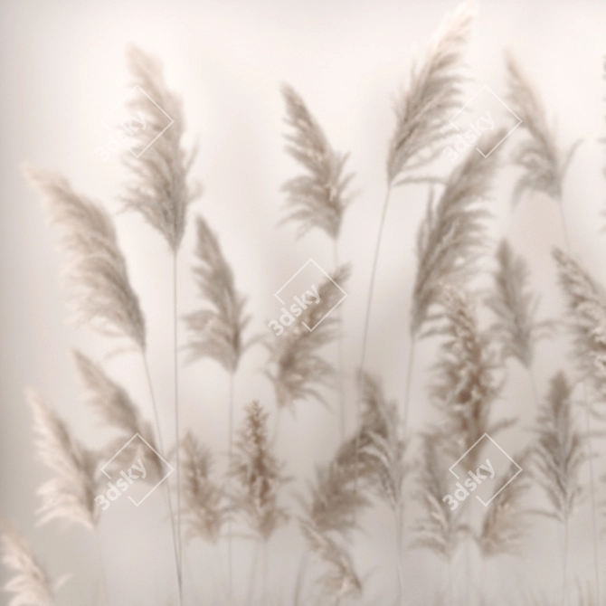 Luxury Eco Dry Floral Installation 3D model image 6