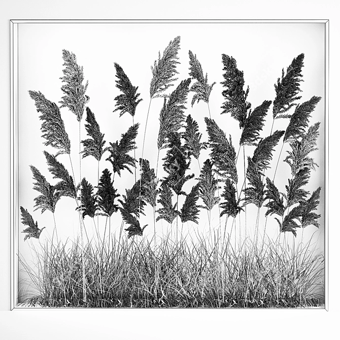 Luxury Eco Dry Floral Installation 3D model image 7