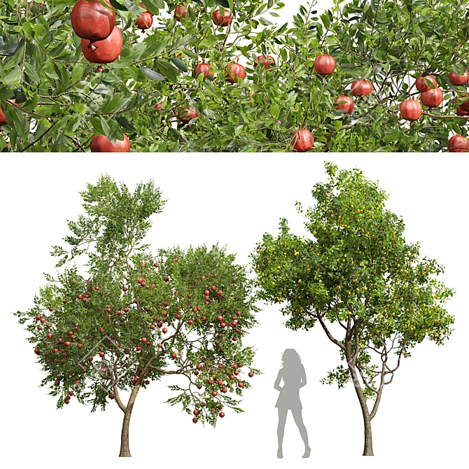 Fruity 3D Tree Bundle 3D model image 1