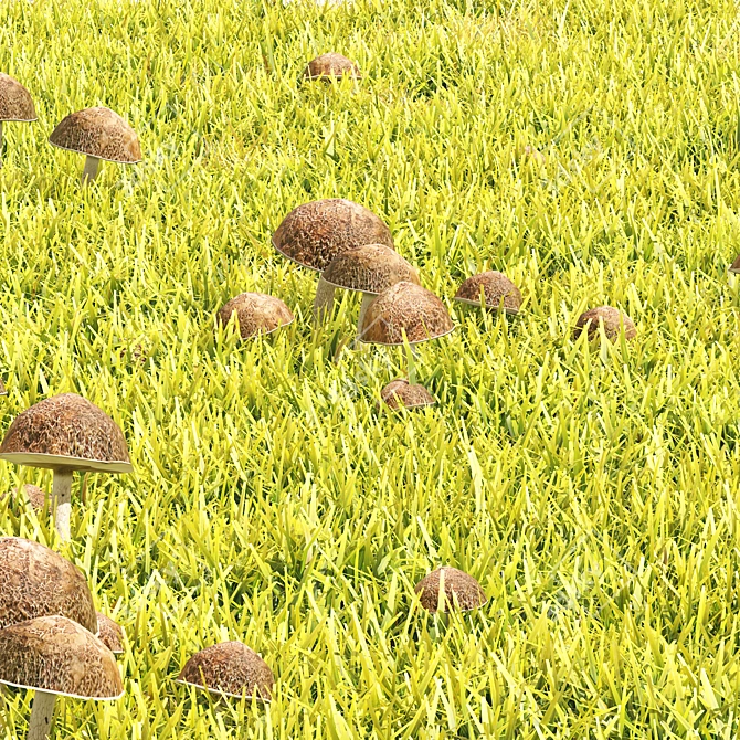 Detailed Grass & Mushroom Lawn 3D 3D model image 1