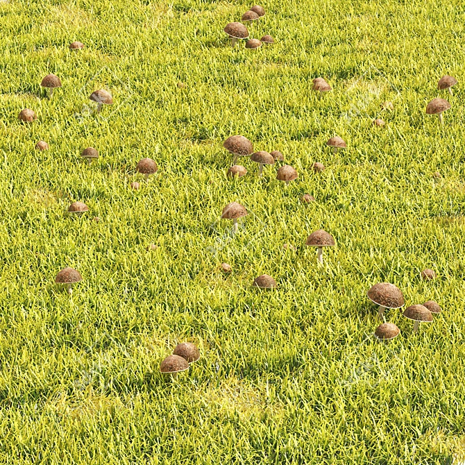 Detailed Grass & Mushroom Lawn 3D 3D model image 3