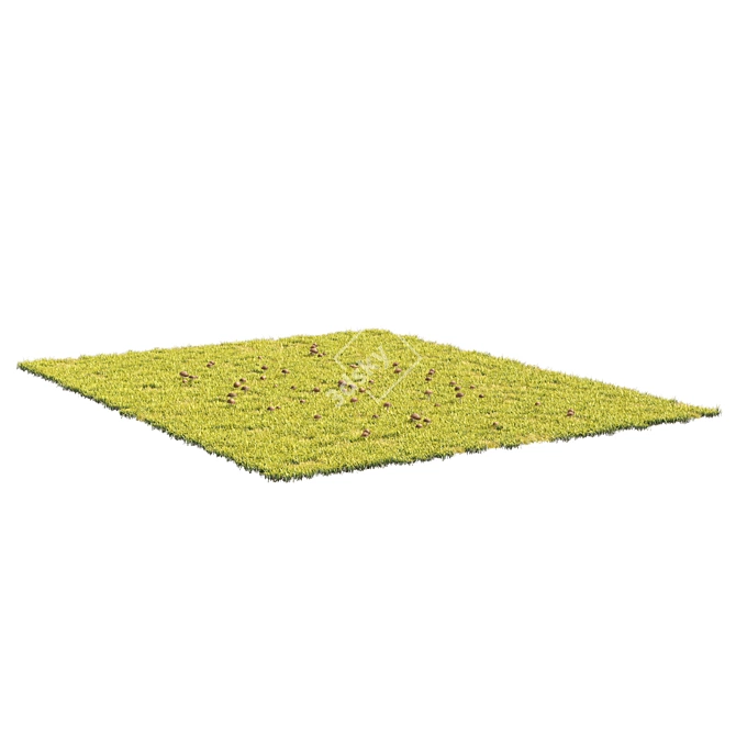 Detailed Grass & Mushroom Lawn 3D 3D model image 4
