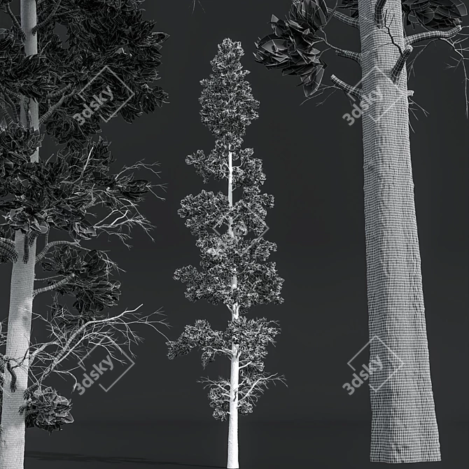 Exotic Fern and Pine Trees 3D model image 7