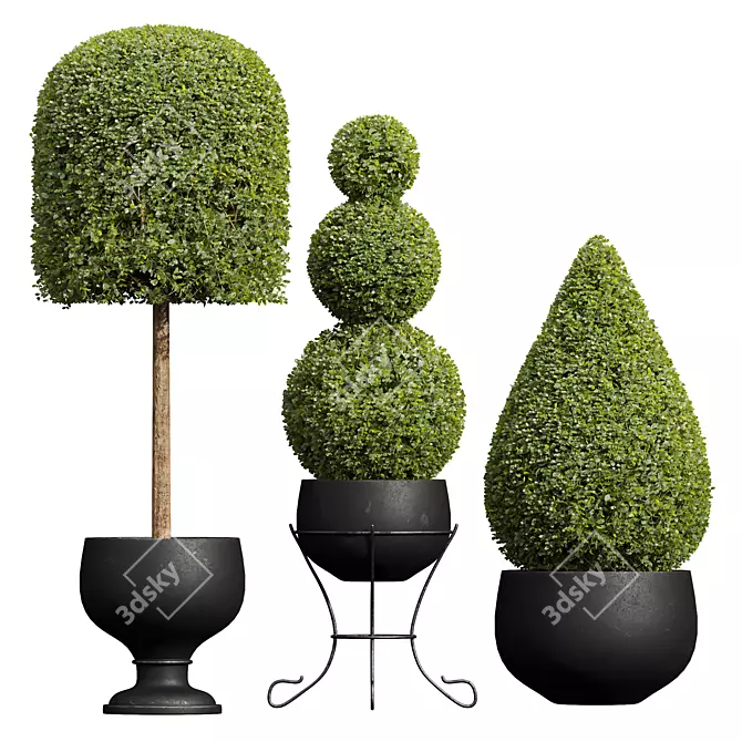 Nerve Plant 3D Model Set 3D model image 1
