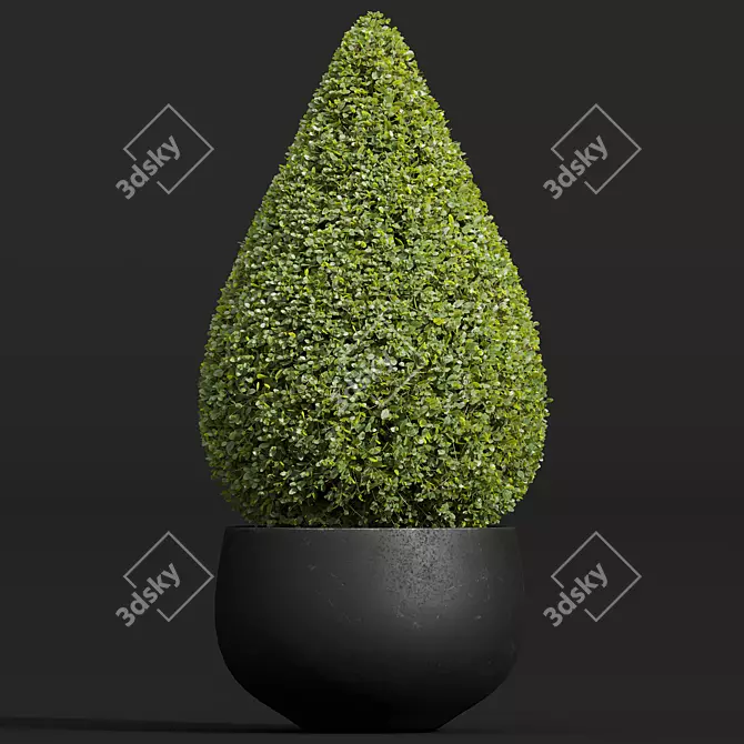 Nerve Plant 3D Model Set 3D model image 2