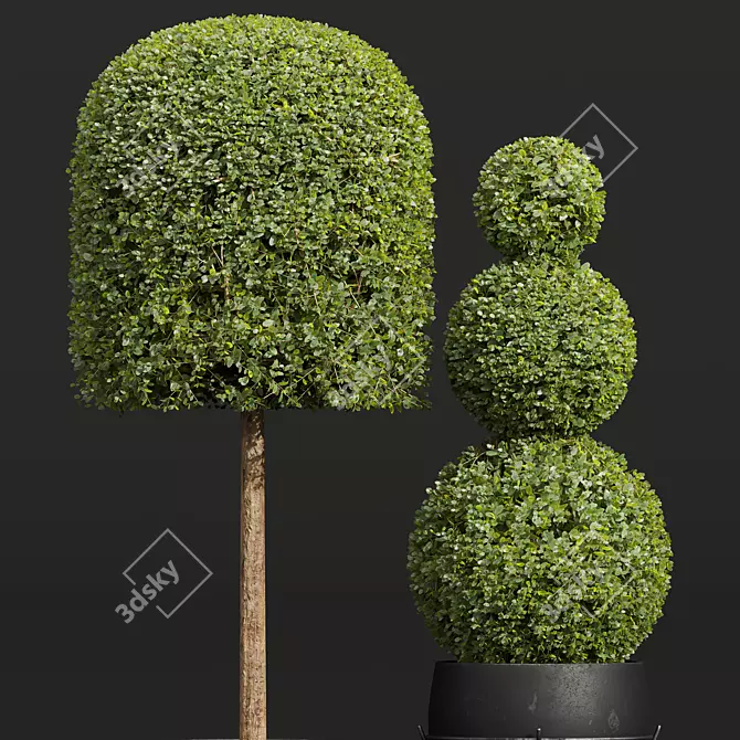 Nerve Plant 3D Model Set 3D model image 3