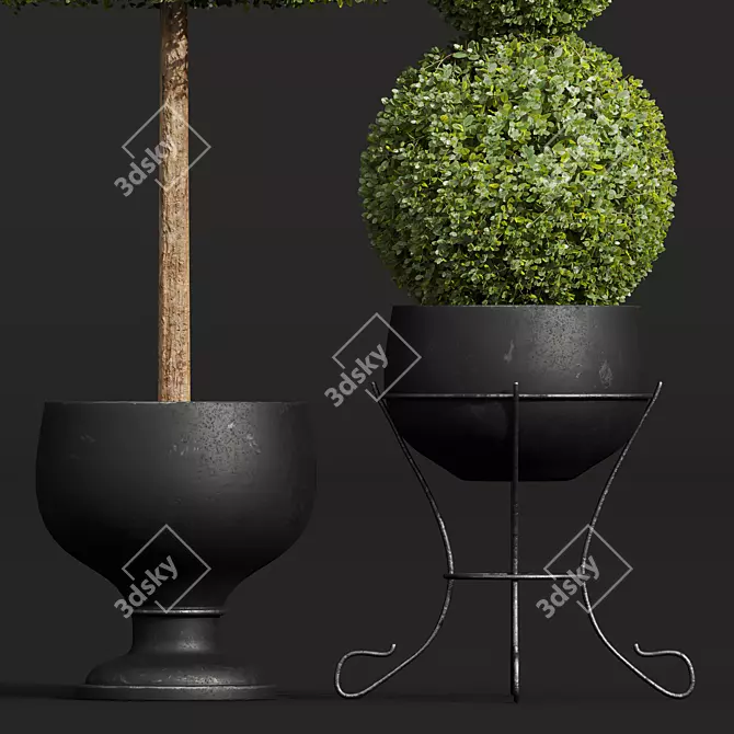 Nerve Plant 3D Model Set 3D model image 4