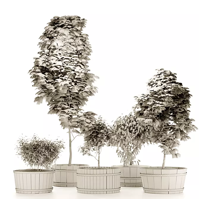 Vintage Garden Plant Collection 3D model image 2