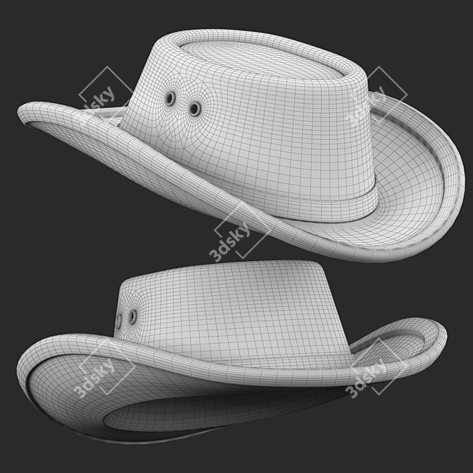 Western Hat 3D Model 3D model image 6