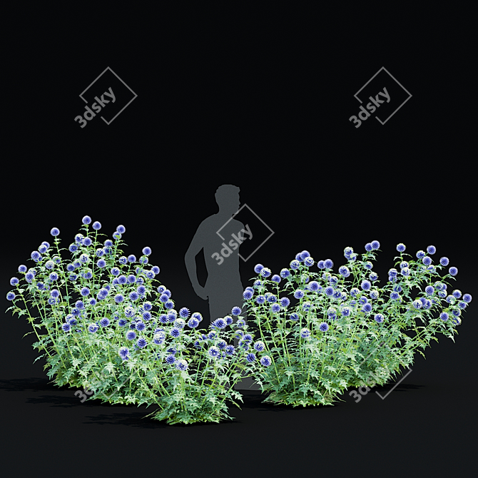 Bannaticus Echinops Flower Models 3D model image 7