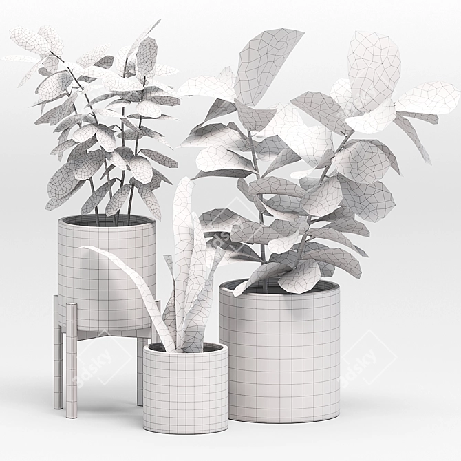 Green Oasis Plant Set 3D model image 4