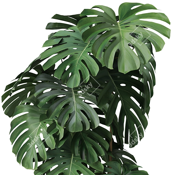 Botanical Bundle: 115k Polys 3D model image 2
