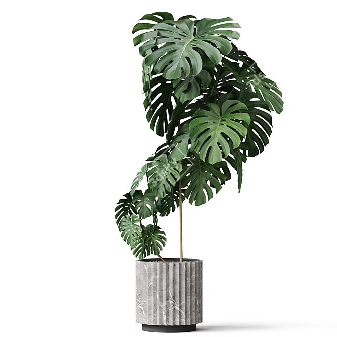 Botanical Bundle: 115k Polys 3D model image 3