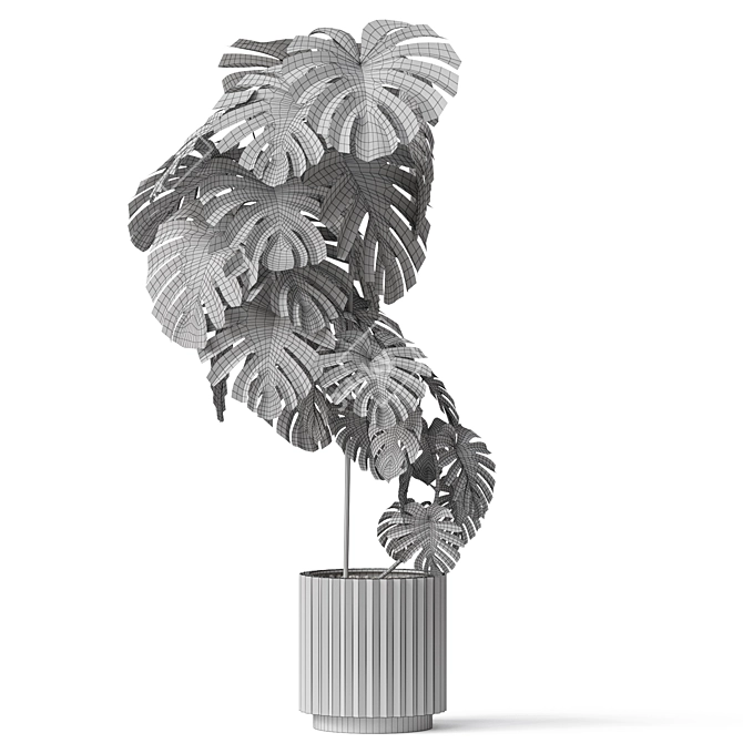 Botanical Bundle: 115k Polys 3D model image 4